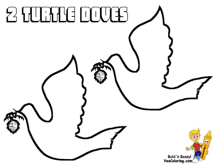 736x568 44 Best Advent Images Animation, Bottle And Coloring