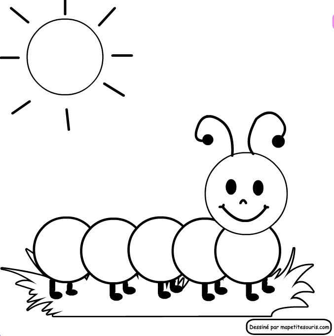 677x681 Coloring Pages Of Caterpillars Free Printable Coloring Pages