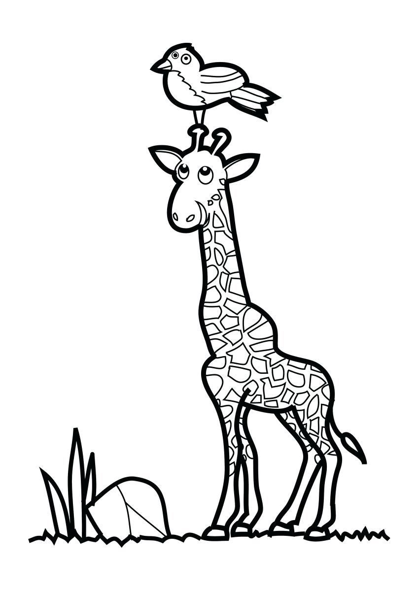 Coloring Pages Animals For Adults | Free download on ClipArtMag