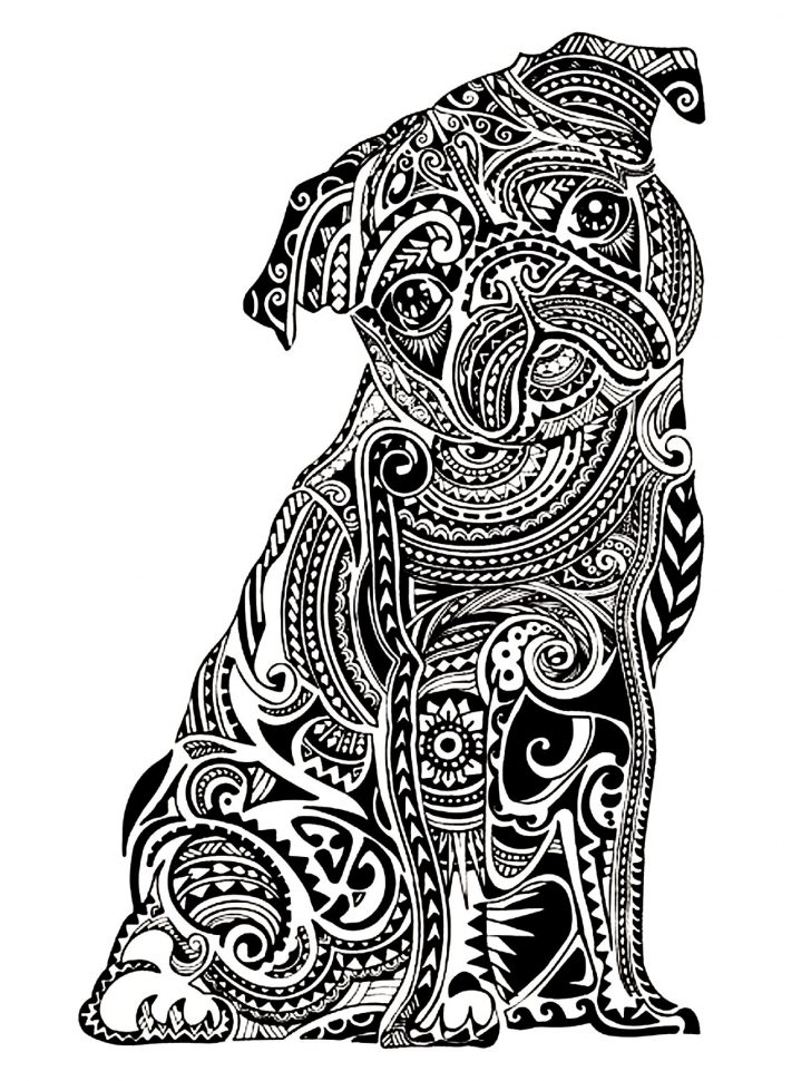 728x970 Adult Coloring Pages Animals