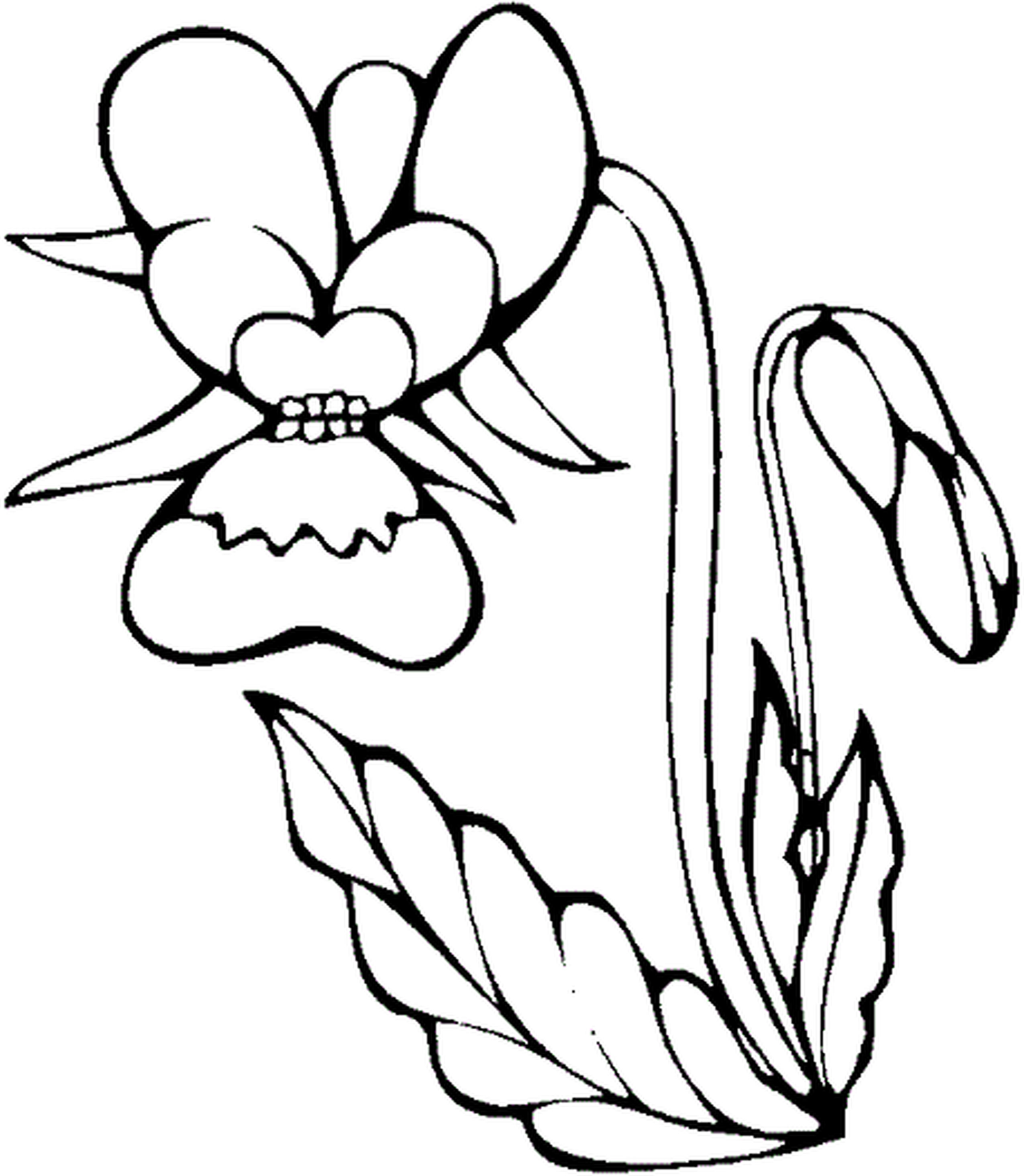 2550x2929 Coloring Pages For Girls Flowers Kids Coloring