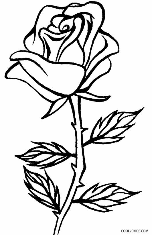 531x820 Coloring Pages Alluring Coloring Pages Roses Rose For Girls
