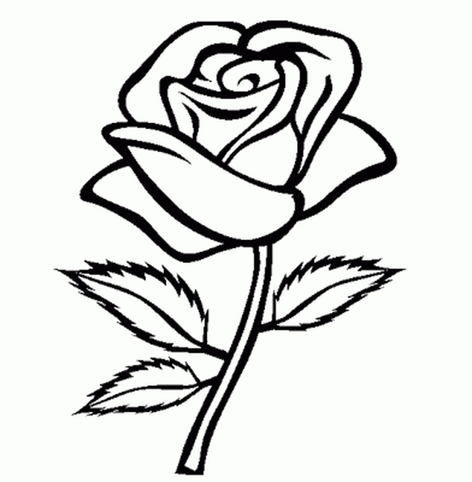 2007x2048 Coloring Pages For Girls Flowers