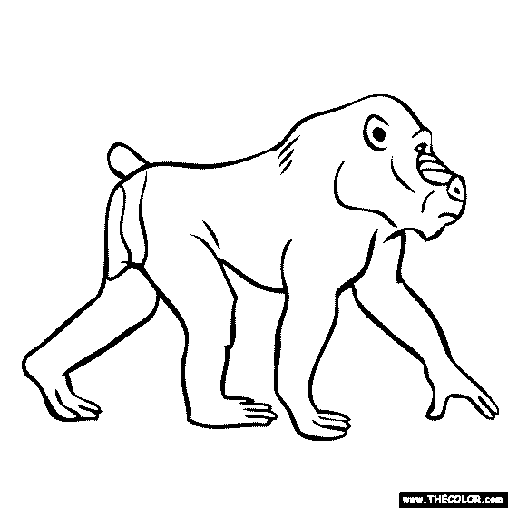560x560 Free Online Coloring Pages