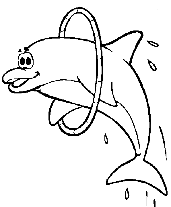 596x720 Colour By Number Dolphin Pictures Dolphin Coloring Pages