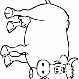 268x268 Cow Spots Coloring Page Kids Drawing And Coloring Pages