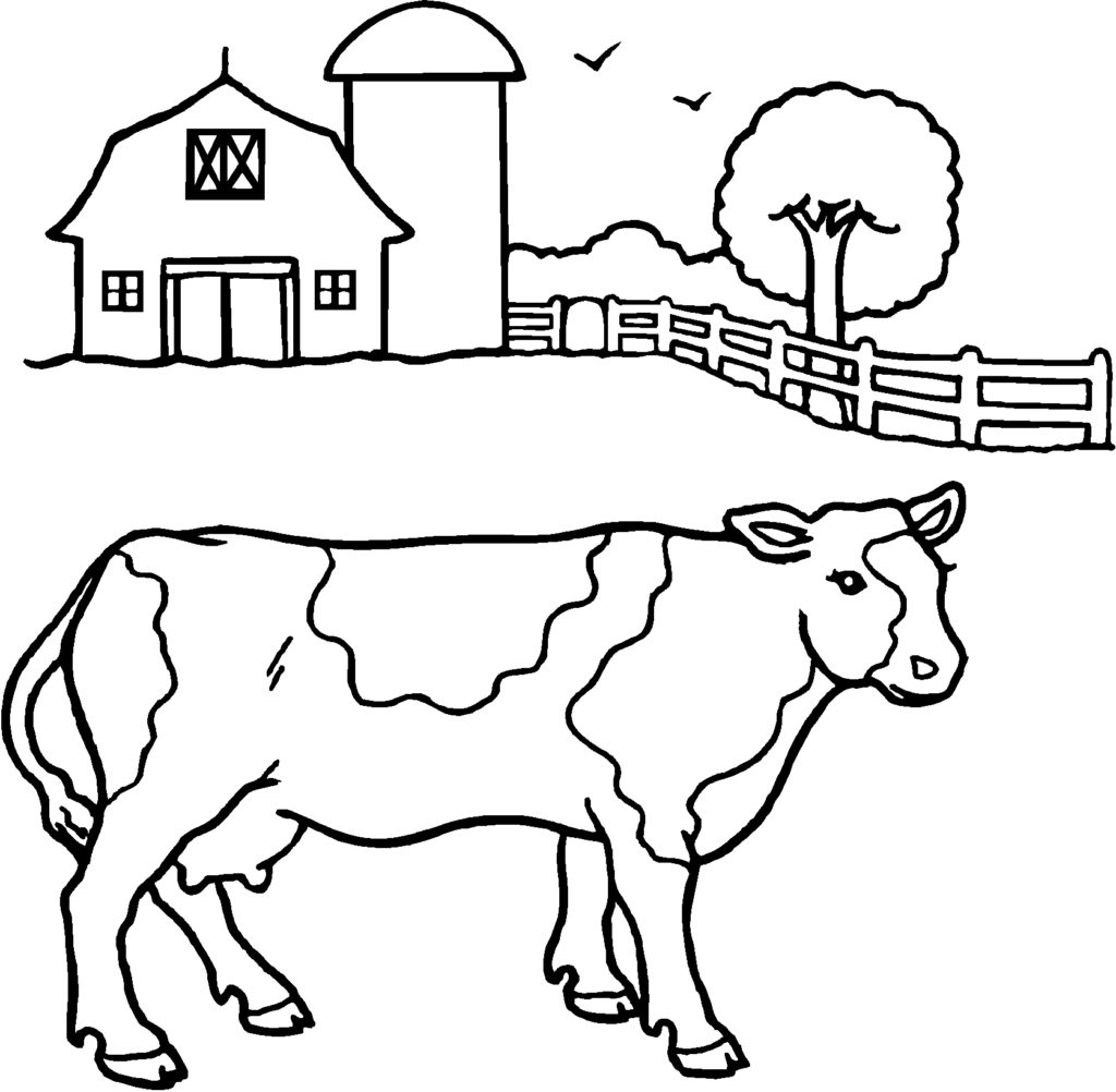 1024x1002 Cow Spots Coloring Page Kids Drawing And Coloring Pages
