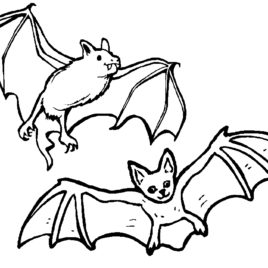 268x268 Lion Mascot Coloring Page Kids Drawing And Coloring Pages