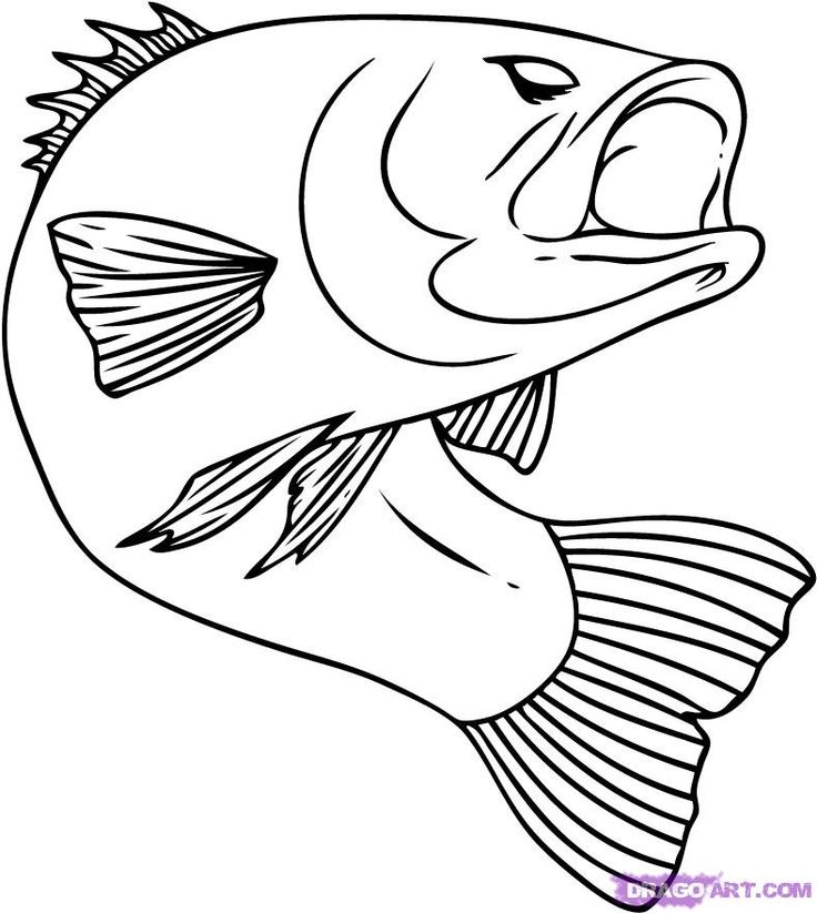 Coloring Pages Realistic