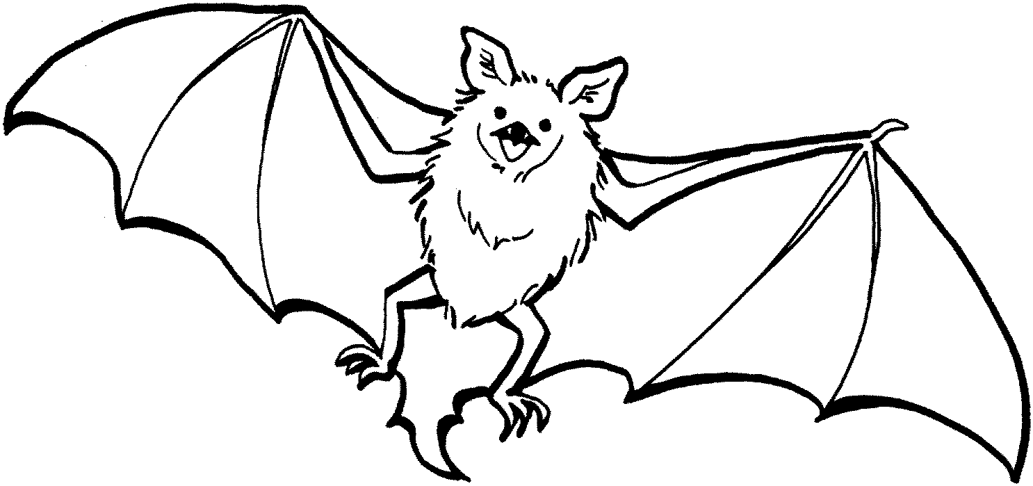 1486x699 Bat Clipart Realistic