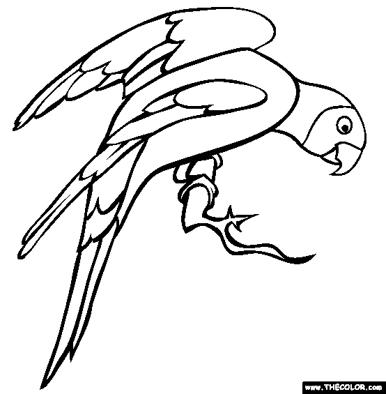 554x565 Bird Online Coloring Pages Page 1