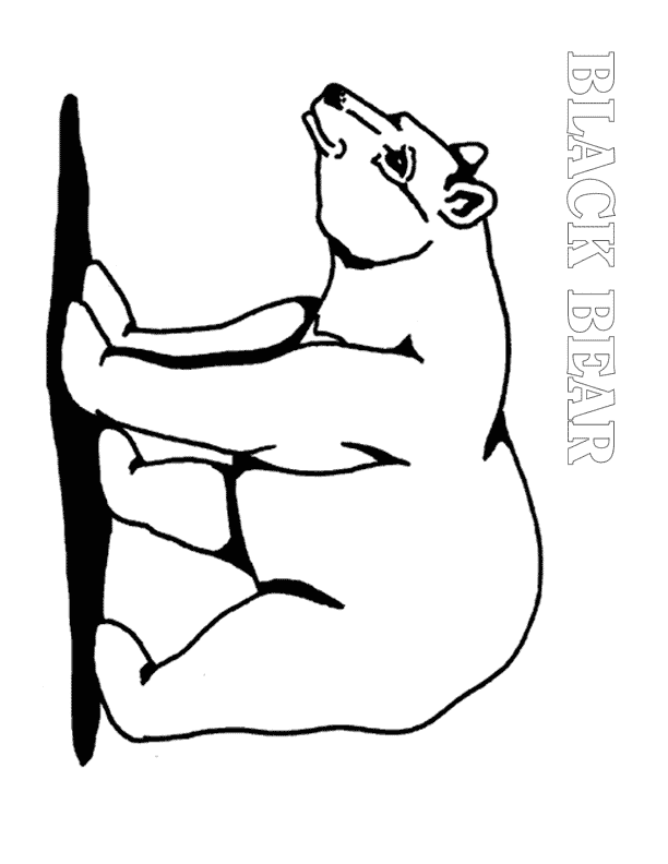 612x792 Black Bear Coloring Pages Many Interesting Cliparts