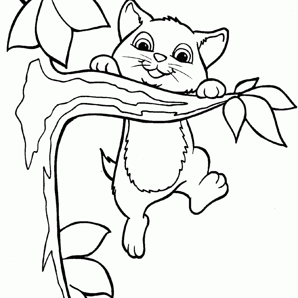 1024x1024 Coloring Pages Of Cats To Print Many Interesting Cliparts
