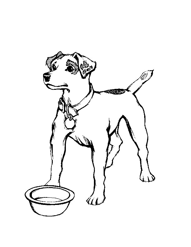 612x792 Realistic Dog Coloring Pages Many Interesting Cliparts