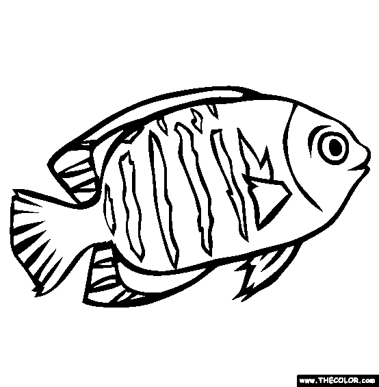554x565 Sea Life Online Coloring Pages