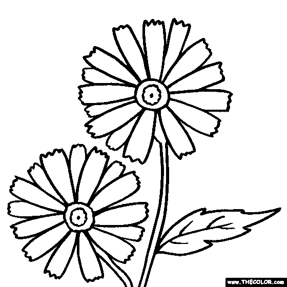 560x560 Flower Coloring Pages Color Flowers Online Page 1
