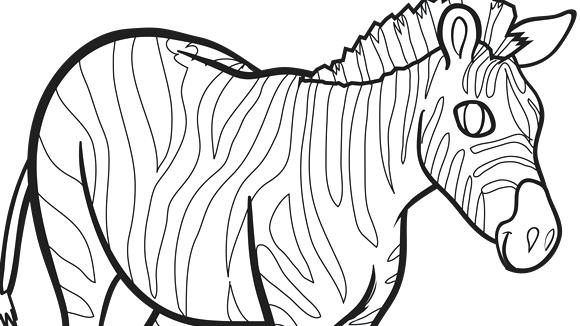 580x326 Zebra Printable Coloring Pages Strong Zebra Coloring Page Free