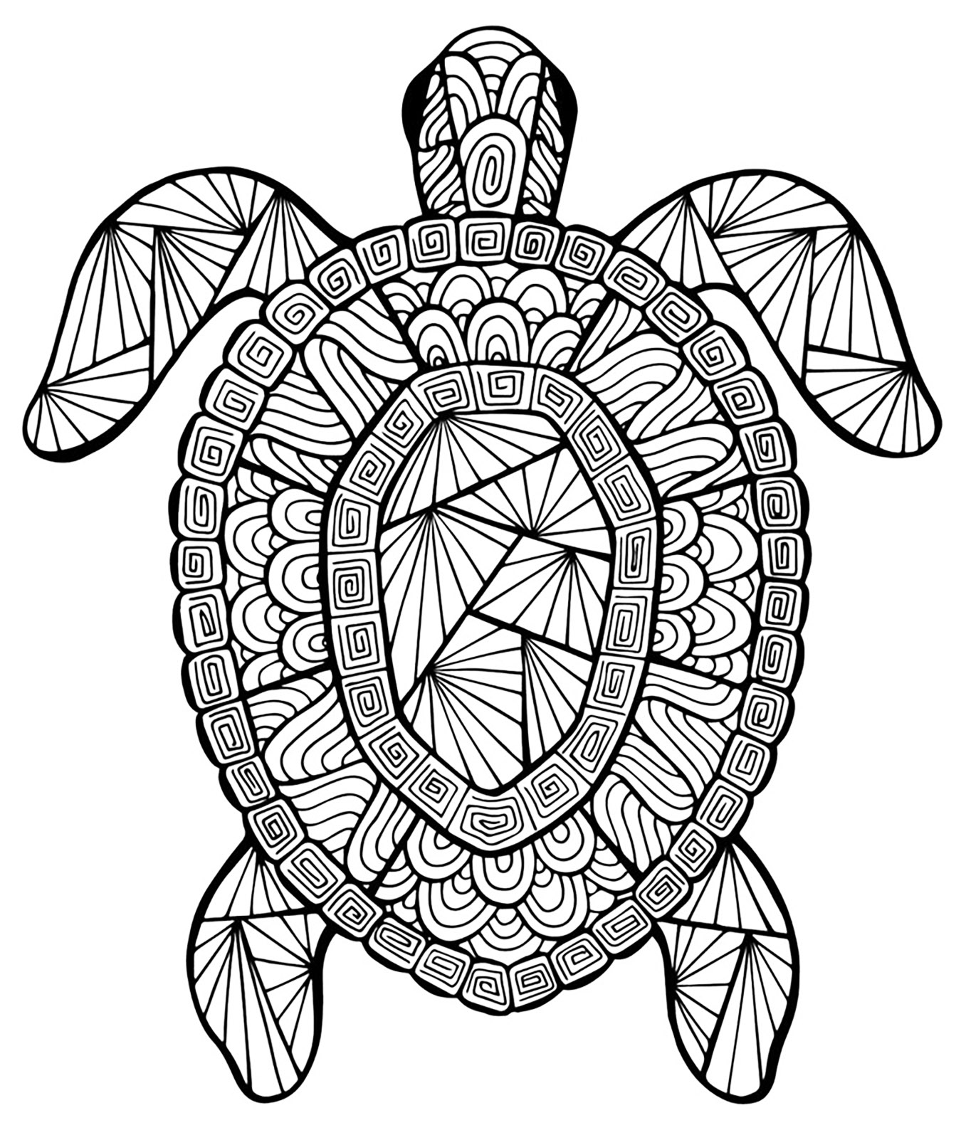 1357x1588 Turtle Animals Coloring Pages