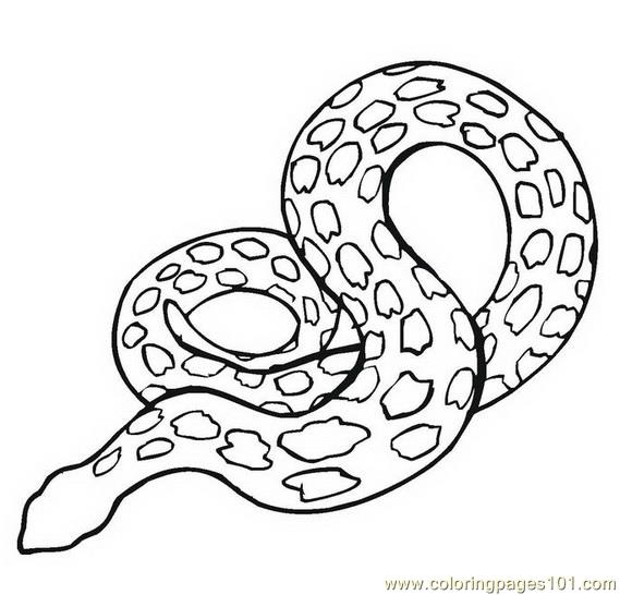 569x546 Chinese New Year Snake 31 Coloring Page