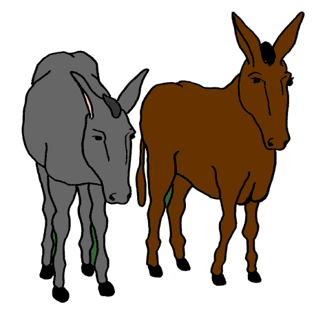 456x450 Donkey Clipart Clipart Panda