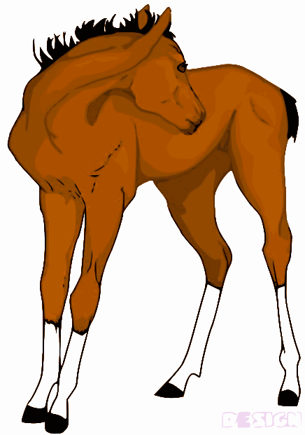 436x621 Foal Clipart