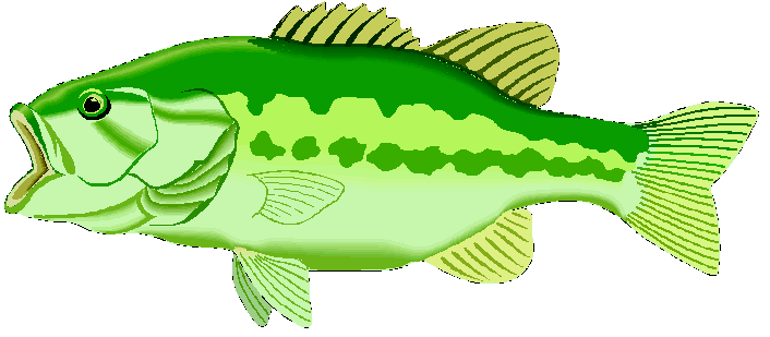706x309 Bass Fish Clipart