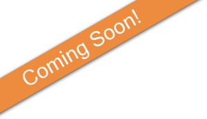 300x173 Index Of Img