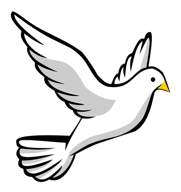600x634 Drawn Dove Communion