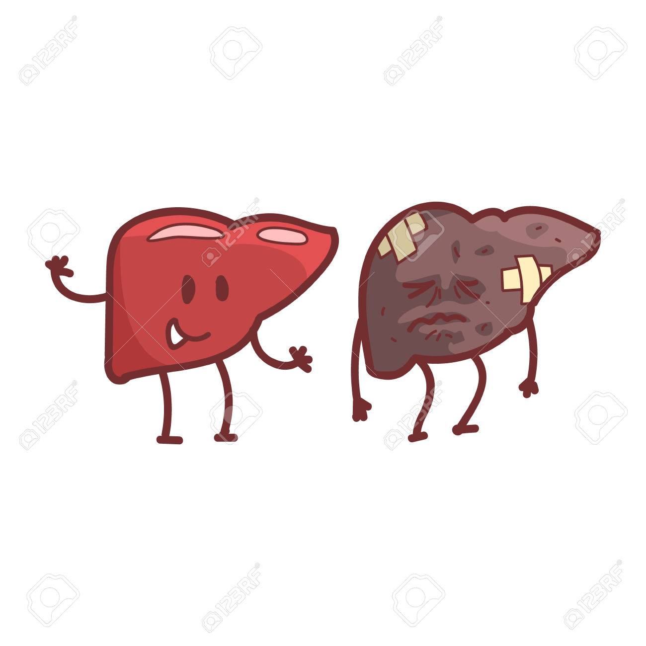 1300x1300 Liver Human Internal Organ Healthy Vs Unhealthy, Medical Anatomic