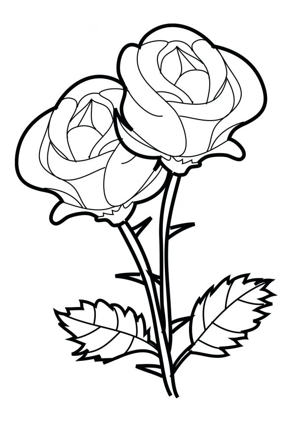 618x874 Coloring Pages Of Rose Trend 34 For Your Kids Online With Coloring