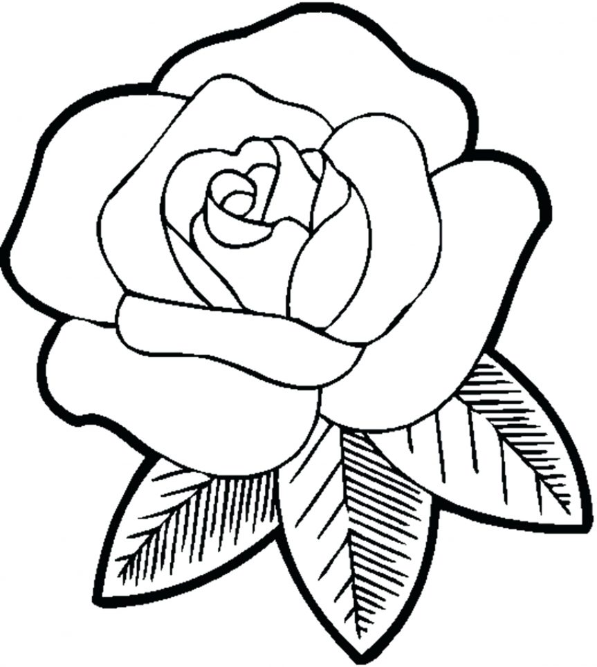 863x964 Rose Coloring Pages Free Compass Page Printable For Adults