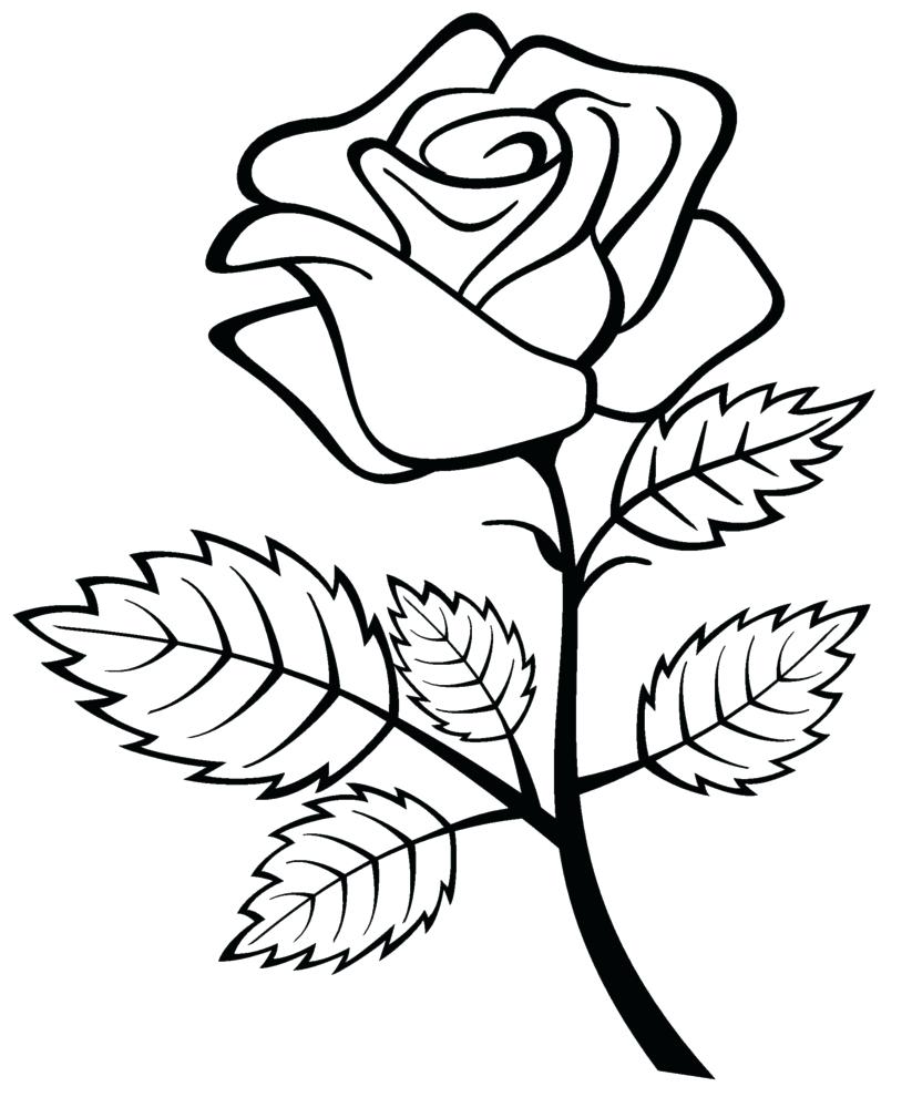 823x990 Coloring Pages Luxury Roses Coloring Pages Rose For Kids Roses