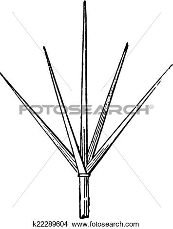 355x470 Conductor Lightning Clipart, Explore Pictures