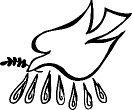 264x220 Confirmation For Youth