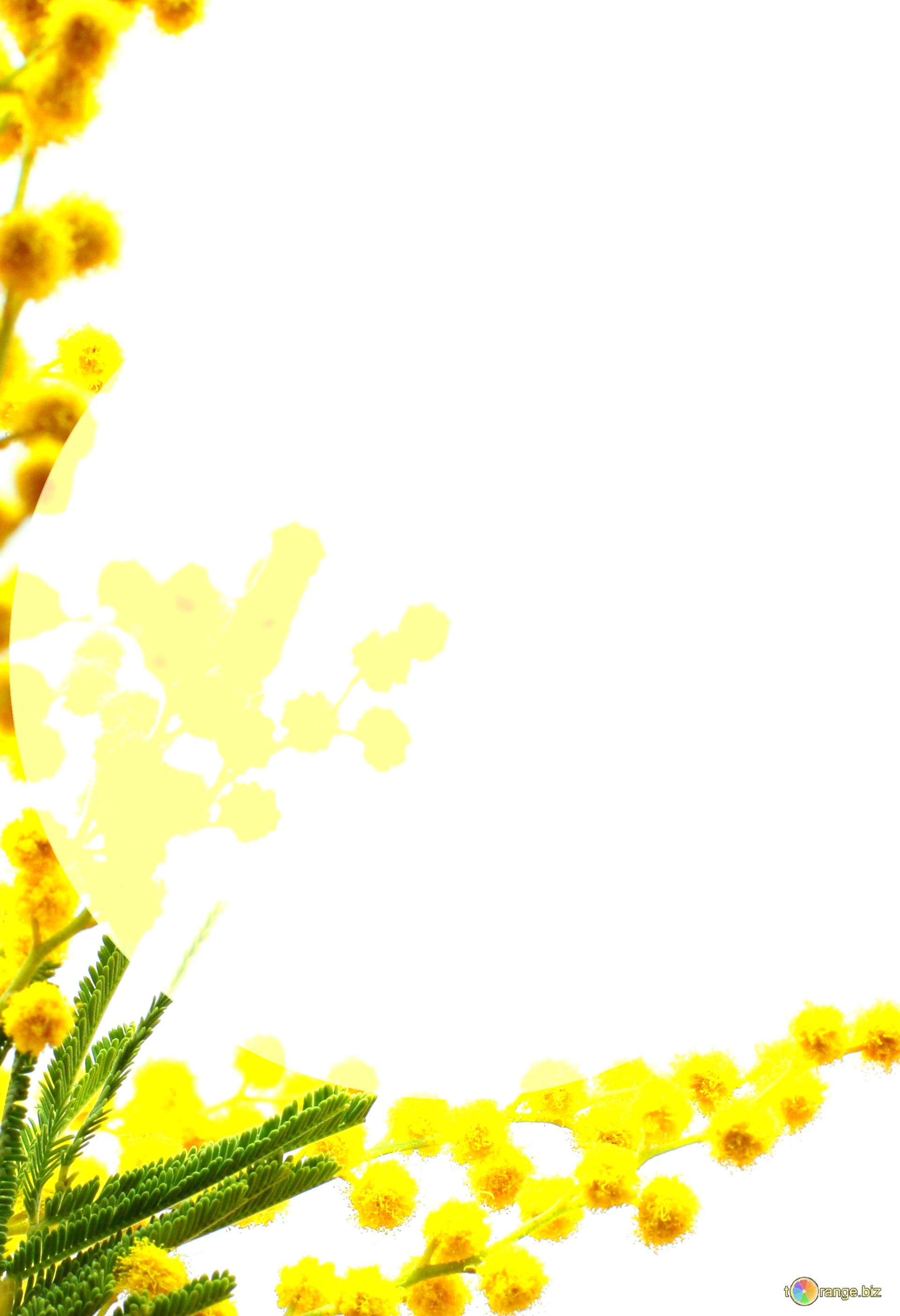 1920x2807 Download Free Picture Congratulation To The Spring On Cc By