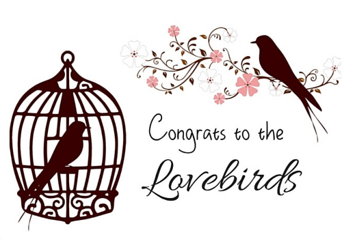 500x350 Love Birds Congratulations! Free Congratulations Ecards, Greeting