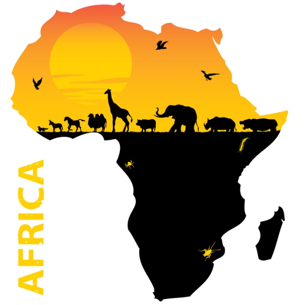 615x615 Map Of The Continent Of Africa Where So Many Animals, (That Are