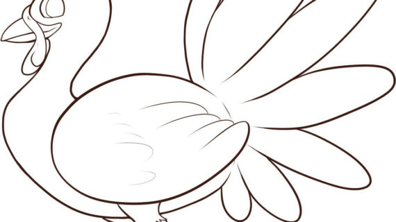 570x320 Simple Drawing Of A Turkey Drawing Of A Turkey Draw Turkey Step 16