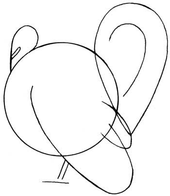 350x403 The Best Turkey Drawing Ideas Easy Turkey