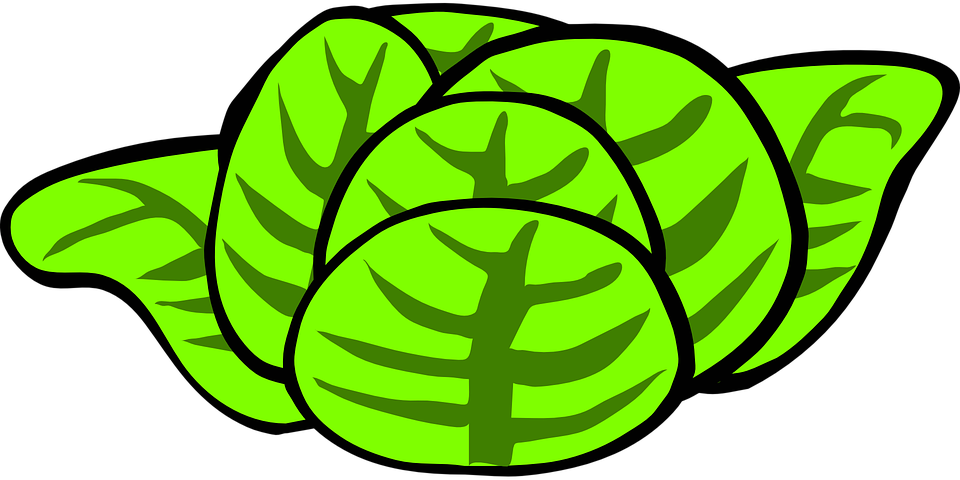 960x480 Salad Clipart Lettuce