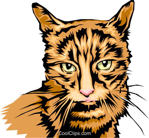 480x445 Cool Looking Cat Royalty Free Vector Clip Art Illustration
