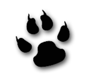 300x261 Cool Cat Animal Paw Free Images