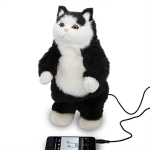 300x300 Cool Cat Gadgets Office Gadgets