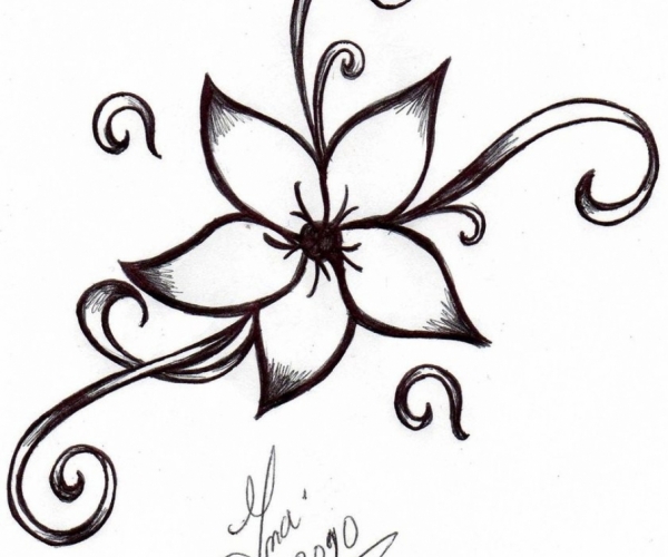 600x500 Gallant Easy Drawing Designs Decoration Easy Drawing Designs Easy