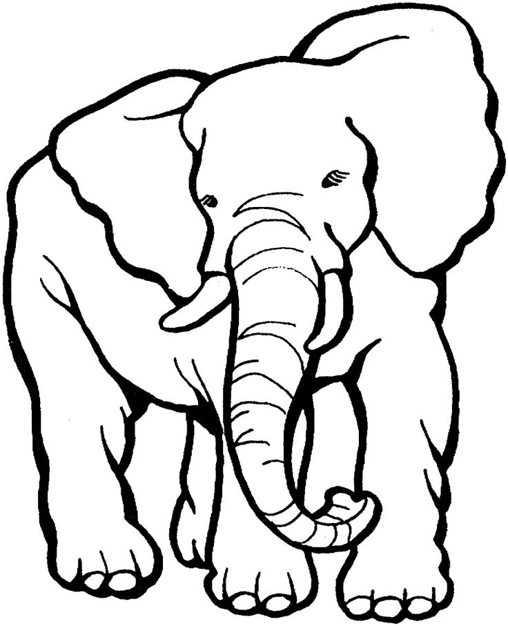 Cool Elephant Cliparts