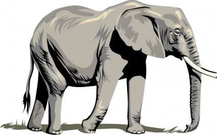 425x265 Best Indian Elephant Clipart