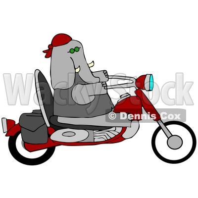 400x400 Illustration Of A Cool Elephant Biker Riding A Red Motorcycle