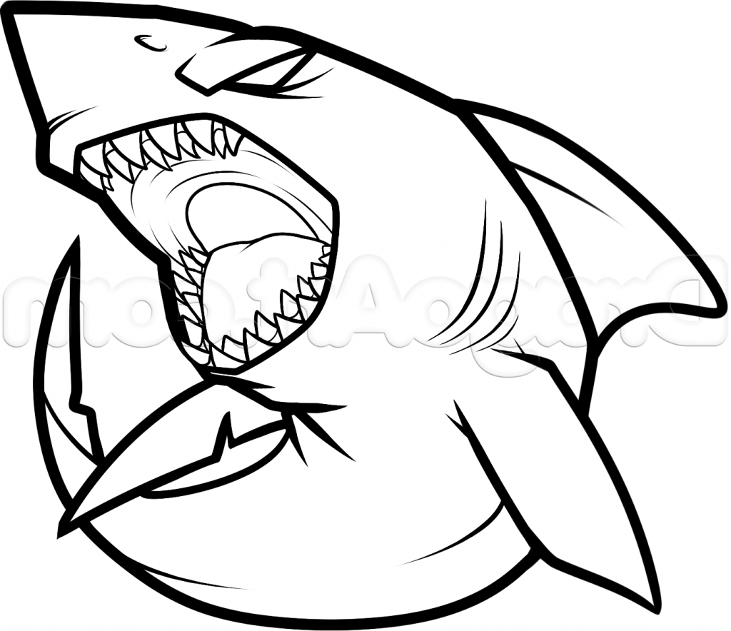 1024x884 Simple Drawing Of A Shark How To Draw A Cool Shark Step Step Sea