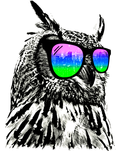 400x500 Sunglasses Owl T Shirt Hand Painted Style Cool Animal Design Tee