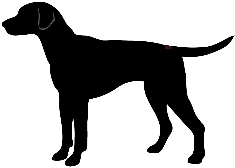 1000x714 Hunting Clipart Hound Dog